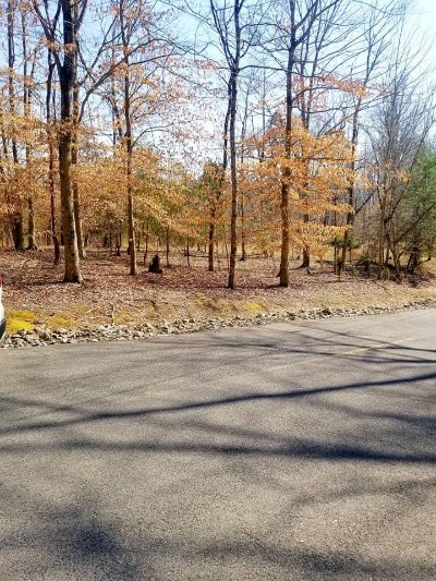 Mooresburg TN Residential Lots & Land For Sale: $33,900